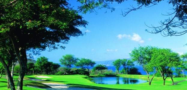 Wailea Gold