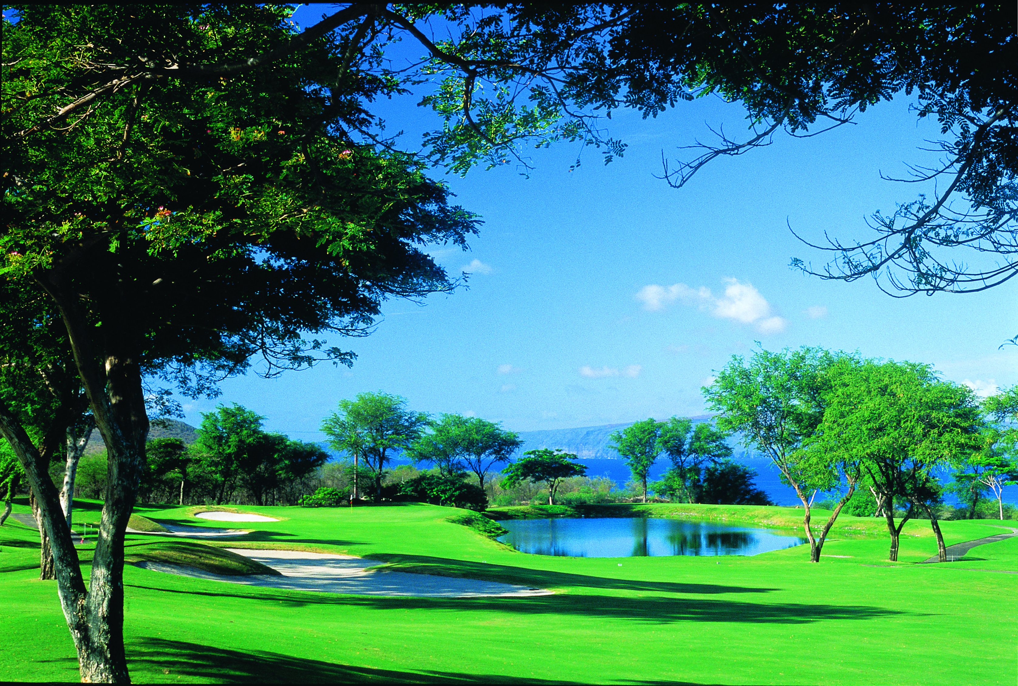 Wailea Gold