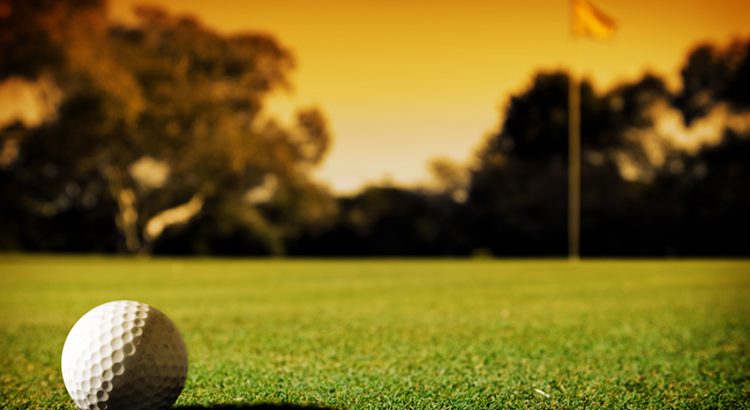 How good are professional golfers on the PGA Tour?