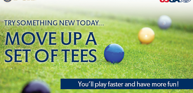golf tees golf tees