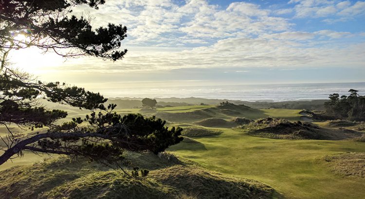 Taking a golf trip to Bandon Dunes Golf Resort