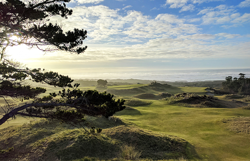 Taking a golf trip to Bandon Dunes Golf Resort
