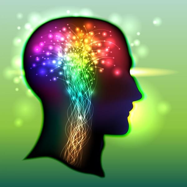 Human Brain Color Of Neurons