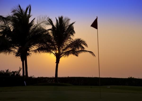 India. Goa. A sunset over palm trees and tags on the golf course