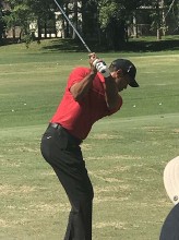 The Match tiger