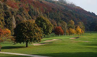 Fall golf featured 340x200
