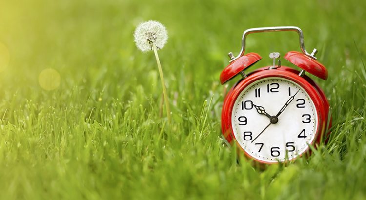 Give yourself time and ship early with this holiday shipping tip