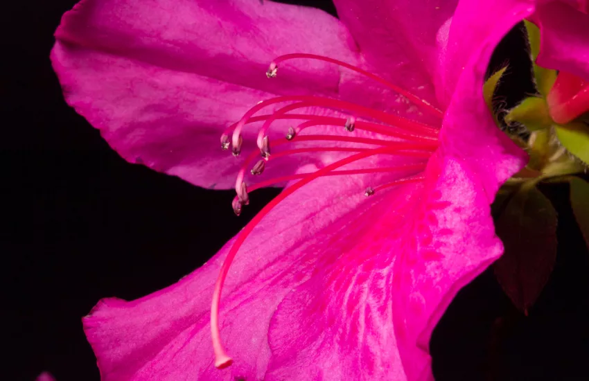 AdobeStock 244256379 jpg