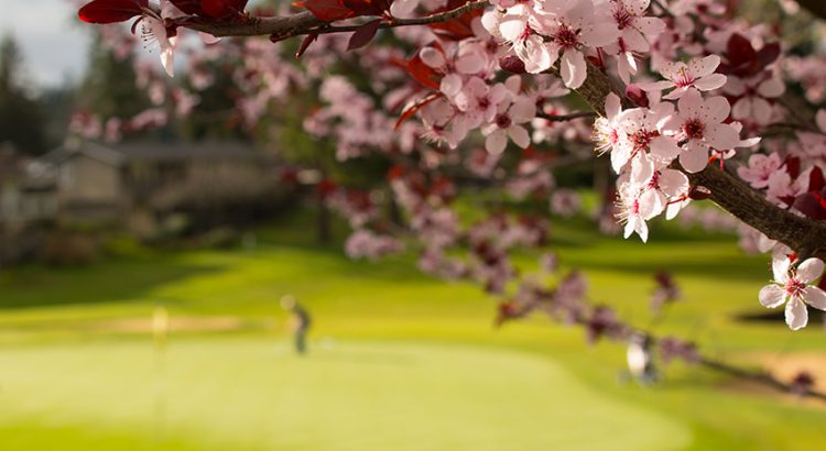 Relaxing spring golf trip