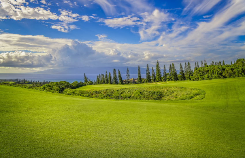 ocean view golf courses