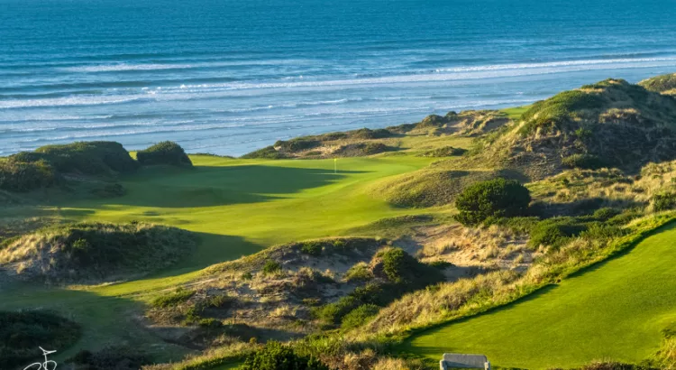 bandon dunes airport