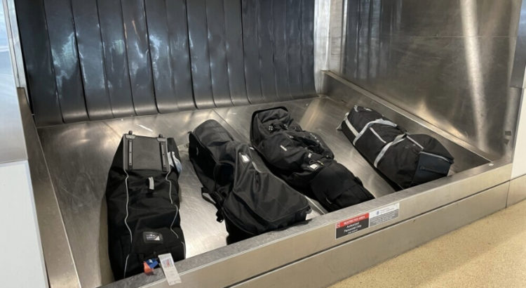 airline fees