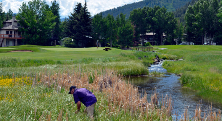 golf rules