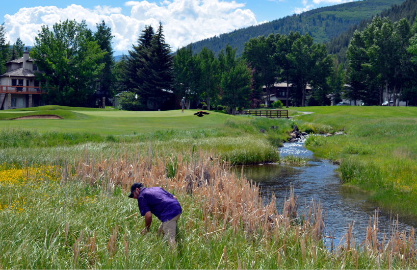 golf rules